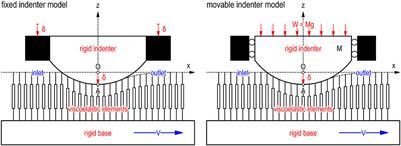 Transient and Steady Sliding Friction of Elastomers: Impact of Vertical Lift